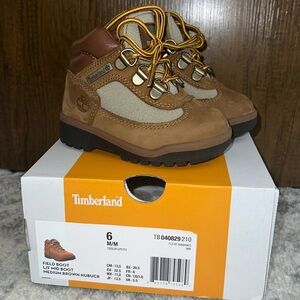 Timberland Field Boot | Toddler Boy 6